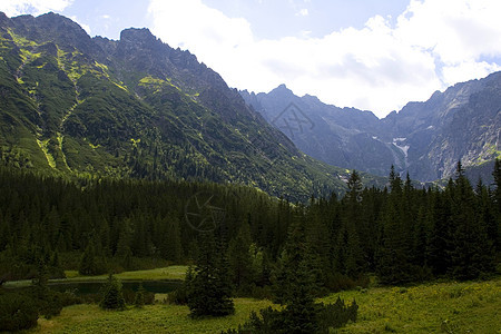 美丽的山区风景天空土地衬套森林太阳天际全景跳闸蓝色绿色图片