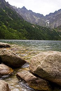 美丽的山区风景跳闸森林太阳土地天空天际苔藓巅峰绿色衬套图片