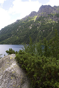 湖边的山脉石头绿色全景衬套跳闸森林苔藓太阳天际土地图片