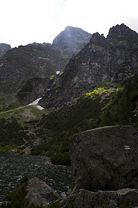 Tatra山全景森林风景衬套苔藓天际土地石头天空跳闸图片