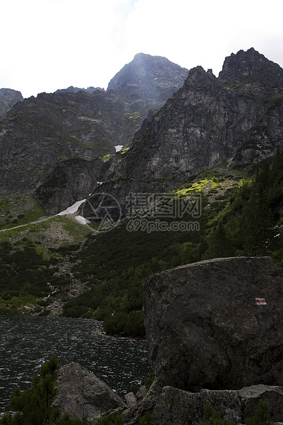 Tatra山全景森林风景衬套苔藓天际土地石头天空跳闸图片