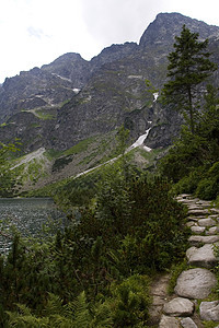 Tatra山天空苔藓太阳风景石头跳闸土地全景森林巅峰图片