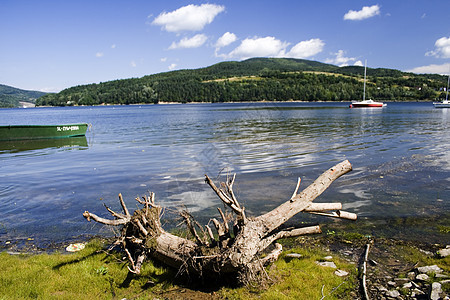 美丽的湖泊苔藓森林天际绿色土地天空跳闸蓝色全景衬套图片