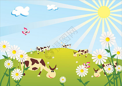 在阳光明媚的草地上的牛图片