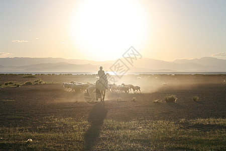 蒙古运动草地牧场农场城市踪迹鬃毛太阳全景灰尘图片