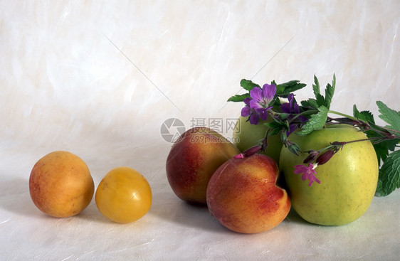 画背景上的水果图片