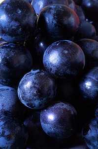酿酒葡萄葡萄酒葡萄美味酿造酒厂藤蔓蓝色葡萄干葡萄园农业健康饮食背景