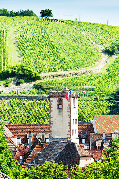 法国阿尔萨斯 里伯维尔建筑葡萄园旅行景点历史村庄建筑物世界房屋外观图片