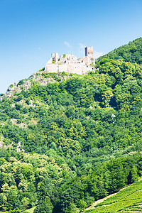 法国阿尔萨斯里博维尔附近的圣乌尔里希城堡景点废墟世界外观城堡历史建筑建筑学旅行建筑物图片