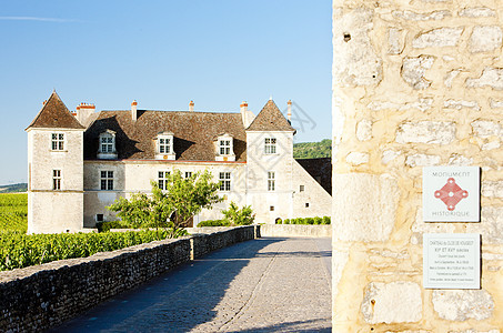 城堡 法国伯根迪旅行乡村国家酒庄景点农业葡萄园建筑学位置世界图片