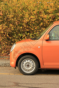 橙色车跑车公园树叶叶子黑色车轮季节木头车辆橙子图片