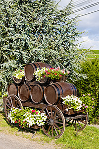 法国伯根迪富塞酒业木桶葡萄外观栽培静物图片