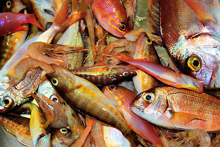 鱼白色市场销售海鲜店铺食物动物背景图片