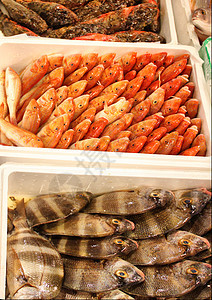 鱼海鲜销售食物市场动物店铺白色图片