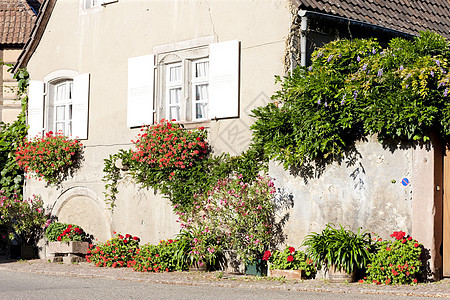 法国阿尔萨斯州Hunawihr建筑学建筑植物外观村庄房子图片