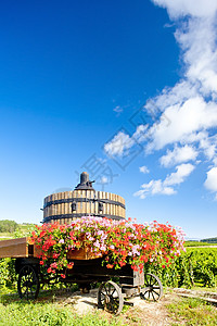 法国伯根迪波曼德附近的葡萄酒酿酒厂图片
