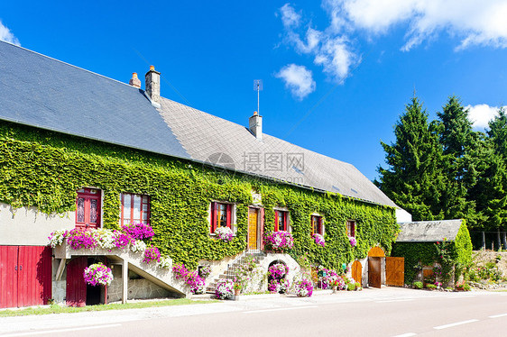 法国 伯根迪 有鲜花的住家外观乡村植物村庄建筑房子建筑学图片
