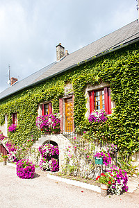 法国 伯根迪 有鲜花的住家楼梯乡村建筑建筑学外观房子植物村庄图片