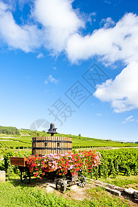 法国伯根迪波曼达附近的科特德博恩葡萄园国家乡村压酒机植被世界农村藤蔓位置葡萄园农业图片