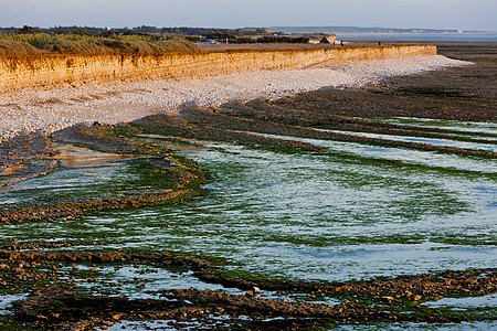 法国波伊图恰恩特斯奥勒隆岛海岸海事沿海岩石海岸线低潮普瓦图悬崖支撑外观风景图片