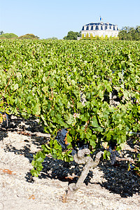 法国波尔多州博尔多地区 By位置世界农业外观葡萄收成栽培旅行建筑学葡萄园图片