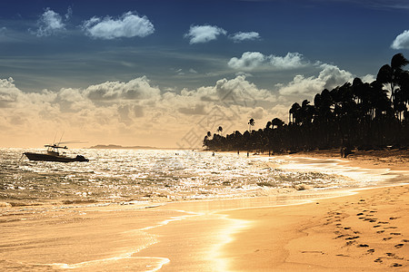 日落海滩异国场景橙子支撑剪影天空娱乐假期海景椰子图片