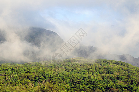 云层风景晴天环境山腰草原林地全景阳光生态高地图片