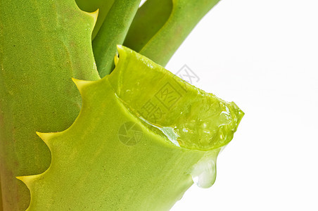 Aloe 阴阳自然医疗奶油免疫系统软膏康复烧伤植物养分宏观图片