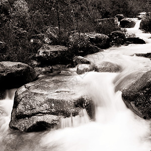 山区河岩石石头旅行植物群林地季节性公园场景环境流动图片