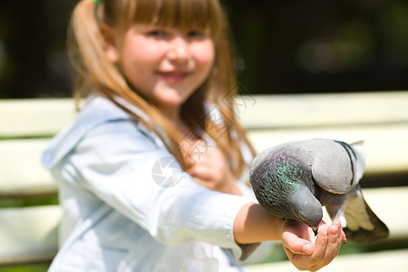 女孩喂养鸽子食物平衡公园友谊飞行手臂翅膀孩子微笑树叶图片