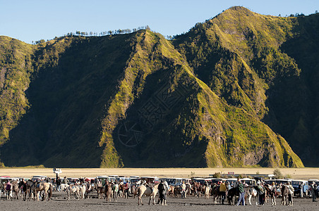 骑马娱乐旅行家庭爱好农场公园绿色荒野闲暇骑士图片