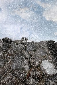 农村暴风雪植物风暴岩石季节植物群淋浴灌木丛天空树干石头图片