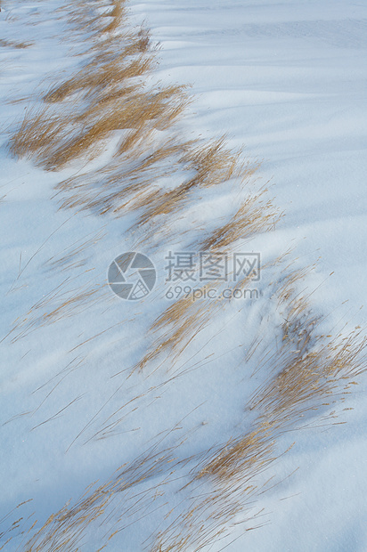 风吹雪时的青草雪堆草原冻结漂移图片