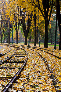 意大利秋季叶子运输黄色树木公园橙子小路铁路季节图片
