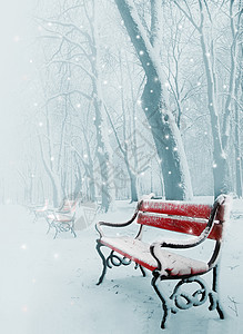 雪中红色长凳场景曲目小路长椅游客车道森林旅行薄雾蓝色背景图片