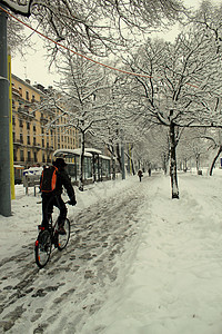 雪中城市骑脚踏车图片