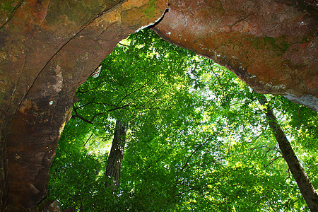洞穴泉痕迹风险公园陷阱植被风景历史旅行石窟洞穴学图片