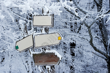 标志符号森林指导邮政桅杆展示空白旅行路标木板降雪图片