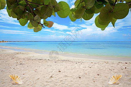 婴儿海滩闲暇蓝色假期海洋旅行白色植物天堂热带海岸图片