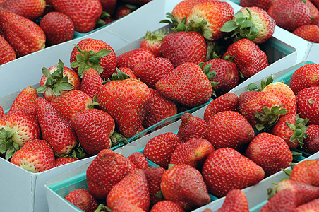草莓种子茶点小吃饮食甜点季节墙纸早餐宏观浆果图片