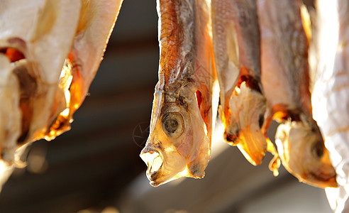 干鱼小吃食物石头白色岩石钓鱼橙子海鲜盐渍美食图片