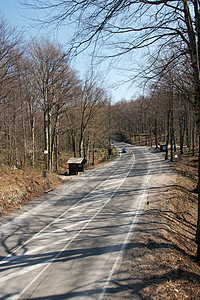 路车道曲线树木爬坡旅行森林基础设施驾驶运输沥青图片