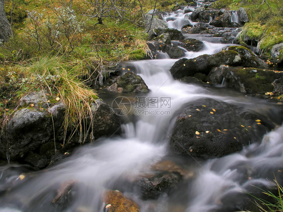 美丽的山溪流瀑布叶子溪流阳光风景流动苔藓森林运动木头图片