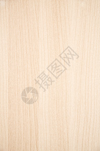 木背景的纹理墙纸装饰木材控制板粮食风格木板材料地面木地板图片