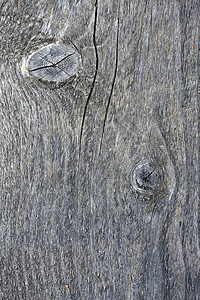 防风林背景的栅栏木材松树建筑硬木材料墙纸木板古董木头风化图片