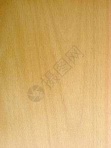木背景的纹理家具粮食木板硬木木地板地面控制板宏观地板样本图片