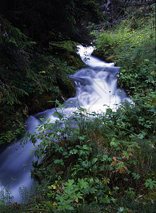 山涧流水岩石溪流荒野石头季节瀑布公园植物流动森林图片