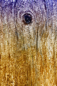 防风林背景的栅栏古董控制板木材硬木木板松树墙纸风化木头建筑图片