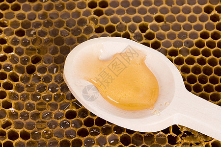 亲爱的食物效果医学昆虫蜜蜂医疗养蜂人细胞生活方式健康饮食图片