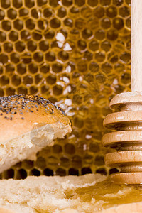 亲爱的野生动物效果生活方式团队昆虫医学蜂窝农场蜂蜜蜜蜂图片